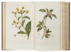 Miller (Philip) - Figures of the most Beautiful, Useful, and Uncommon Plants described in the