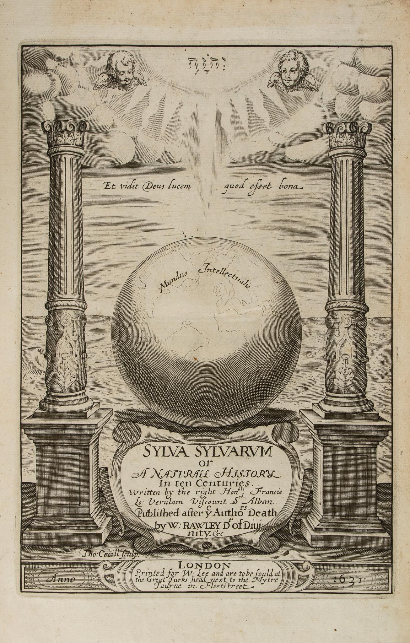 Sylva Sylvarum: or, A Naturall Historie , additional engraved title dated 1631  ( Sir   Francis)