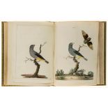 Brown (Pierre) - Nouvelles Illustrations de Zoologie,  French  &  English, 50 fine hand-coloured