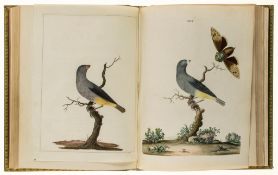 Brown (Pierre) - Nouvelles Illustrations de Zoologie,  French  &  English, 50 fine hand-coloured