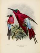 Dresser (Henry Eeles) - A Monograph of the Meropidae, or Family of the Bee-Eaters, bound from the