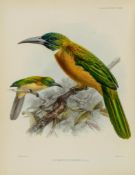 Sclater (Philip Lutley) - A Monograph of the Jacamars and Puff-Birds or Families Galbulidae and