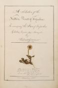 A Selection of the Native Plants of Forfarshire …  (William)   A Selection of the Native Plants of