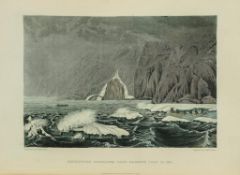 Narrative of a Journey to the Shores of the Polar Sea , in the Years 1819, 20  ( Capt.   John)