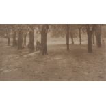 Heinrich Kühn (1866-1944) - Hofgarten, 1910 Platinum print,  16.2 x 29.4cm (6 3/8 x 11 5/8in)