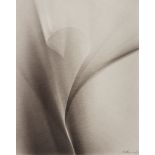 Lotte Jacobi (1896-1990) - Abstraction (Photogenic Drawing), ca.1950 Platinum-palladium print,
