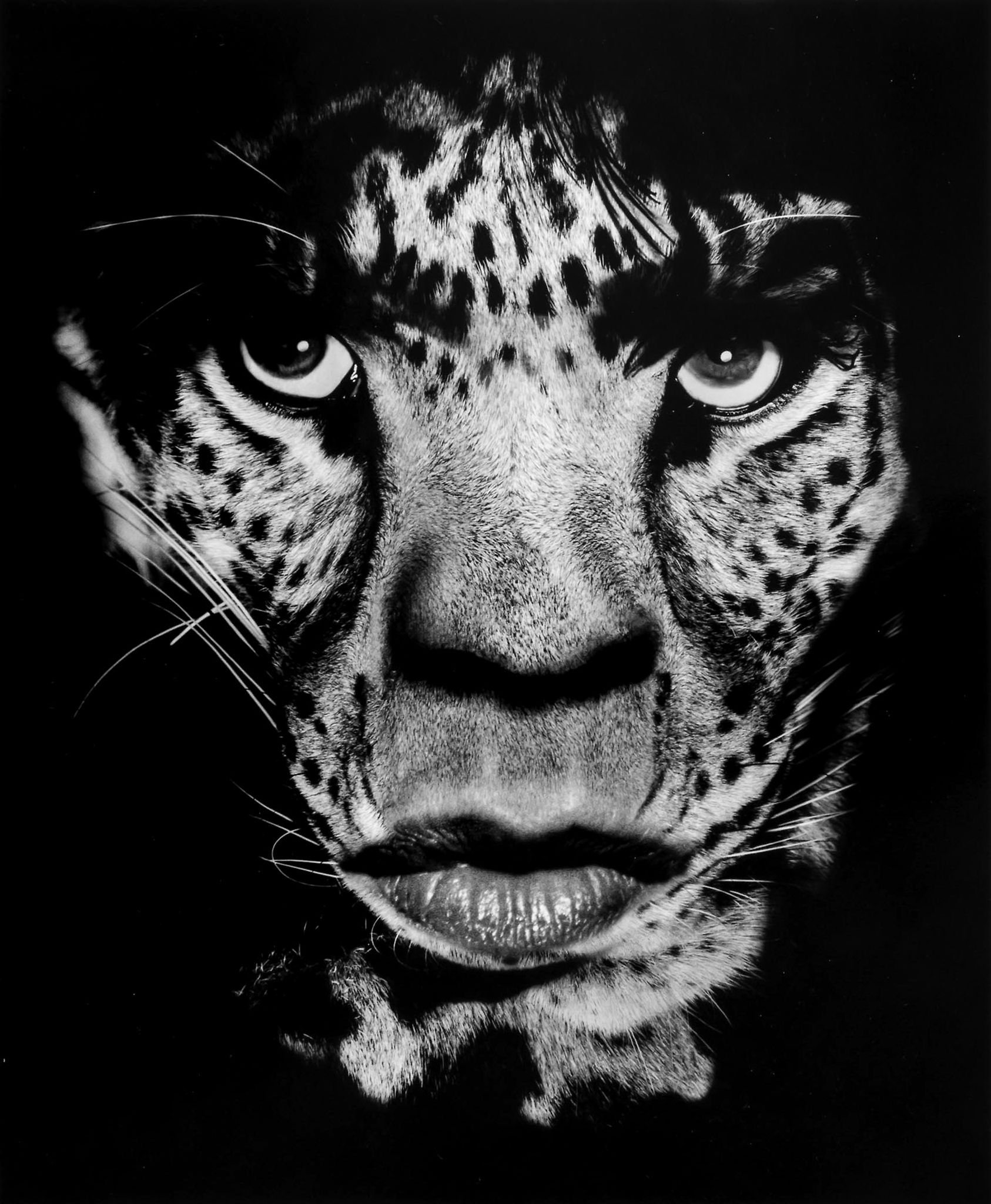 Albert Watson (b.1942) - Mick Jagger, 1992 Gelatin silver print, printed later, signed, titled and