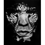 Albert Watson (b.1942) - Mick Jagger, 1992 Gelatin silver print, printed later, signed, titled and