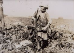 Lewis Hine (1874-1940) - Nine-Year-Old Pauline Reiber Topping Beets Near Sterling, CO, 1915; Newsie,