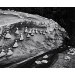 Toshio Shibata (b.1949) - Yunotani Village, Nigata Prefecture, 1989 Gelatin silver print, signed and