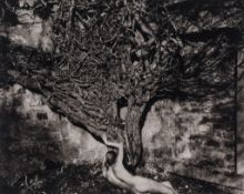 John Swannell (b.1946) - Naked Vine, 1985 Platinum print, printed 2006, signed and editioned 4/25 in