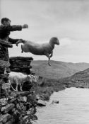 Grace Robertson (b.1930) - Sheep Shearing in Wales, 1951 Gelatin silver print, printed later,