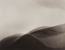 Lotte Jacobi (1896-1990) - Landscape (Photogenic Drawing), ca.1950 Platinum-palladium print, printed