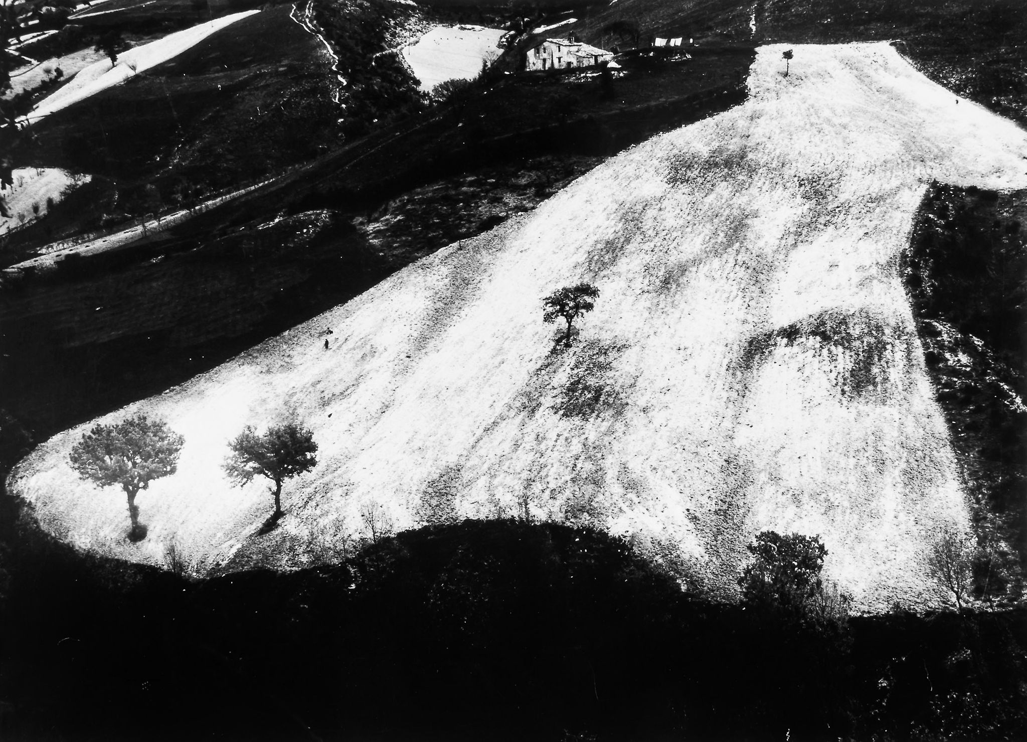 Mario Giacomelli (1925-2000) - Untitled, from the series 'Presa di Coscienza sulla Natura', 1964