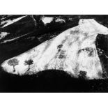 Mario Giacomelli (1925-2000) - Untitled, from the series 'Presa di Coscienza sulla Natura', 1964