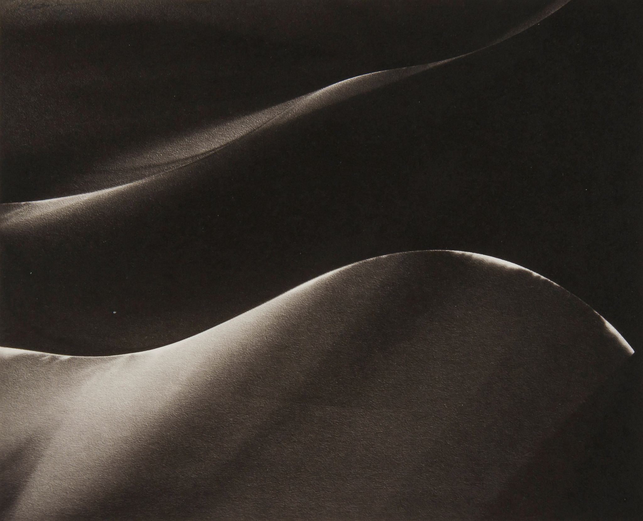 Lotte Jacobi (1896-1990) - Sunset (Photogenic Drawing ), ca.1950 Platinum-palladium print, printed