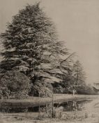 Roger Fenton (1819-1869) - York Minster; Cedars Monmouthshire (both from The Photographic Art