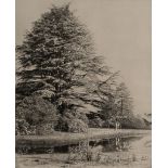 Roger Fenton (1819-1869) - York Minster; Cedars Monmouthshire (both from The Photographic Art