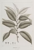 von Humboldt (Alexander) & Aimé Bonpland - Plantae Aequinoctiales...,  part 1 only (of 17)  ,