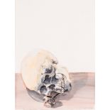 ** Ricky Swallow (b. 1974) - Skull/Pipe, 2004 watercolour on paper, titled in pencil at lower