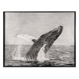 ** Karl Haendal (b. 1976) - Mazel Tov,  2007 group of five framed works: 1) Untitled (whale),