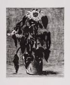 David Hockney (b.1937) - Sunflowers II (T.348) etching with aquatint, 1995, signed, dated and