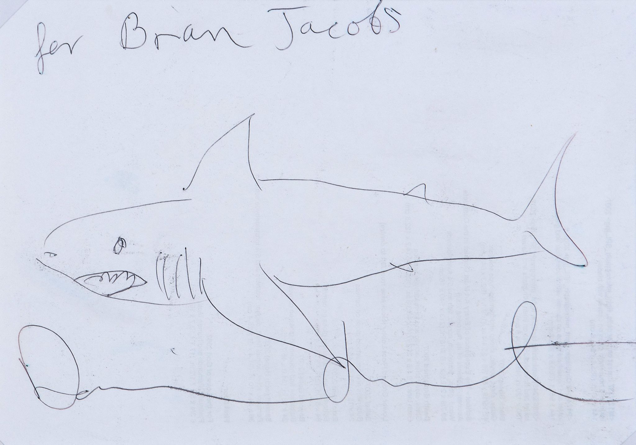 Damien Hirst (b.1965) - Shark ball-point pen on paper, c.2007, signed and inscribed, 210 x 293 mm (8