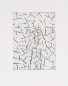 Antony Gormley (b.1950) - Domain etching, 2013, signed, dated and titled in pencil verso, numbered