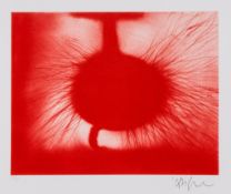 Anish Kapoor (b.1954) - Untitled polymer-gravure print in colours, 2014, signed in pencil,