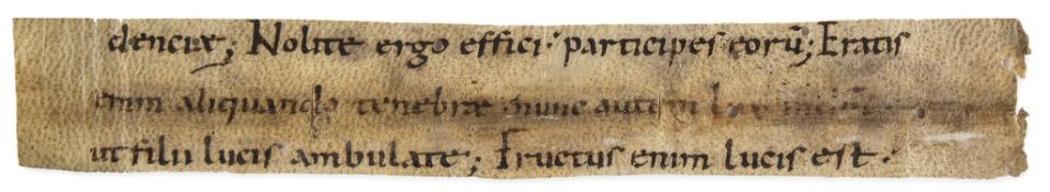 Strip cut from a Carolingian - liturgical manuscript, quoting Luke 15:29-30 and Ephesians 5