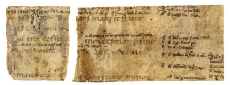 Strip from a very early copy of Corpus - Iuris Civilis , manuscript in Latin on parchment [