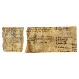 Strip from a very early copy of Corpus - Iuris Civilis , manuscript in Latin on parchment [