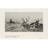 Selous (F.C.) - Recent Hunting Trips in British North America,  first edition ,  plates. some