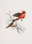 Dawson (William Leon) - The Birds of California, 4 vol.,   Format De Luxe,  Presentation/