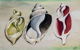 John Banting (1902-1972) - Shell Study I pencil and gouache on paper, signed with the initials at