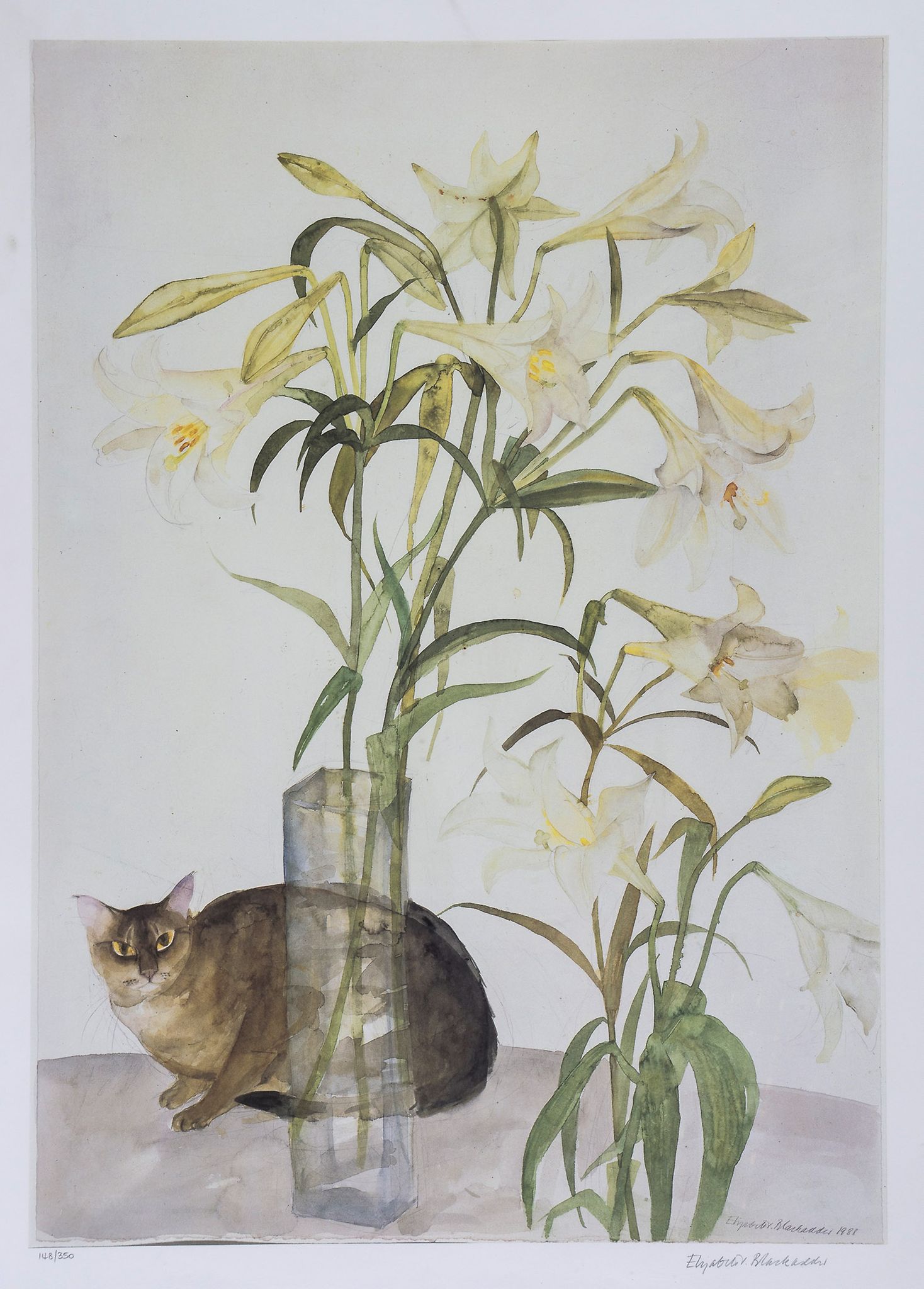 Elizabeth Violet Blackadder (b.1931) - Abyssinian Cat and Lilies lithograph printed in colours,