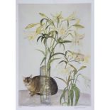 Elizabeth Violet Blackadder (b.1931) - Abyssinian Cat and Lilies lithograph printed in colours,