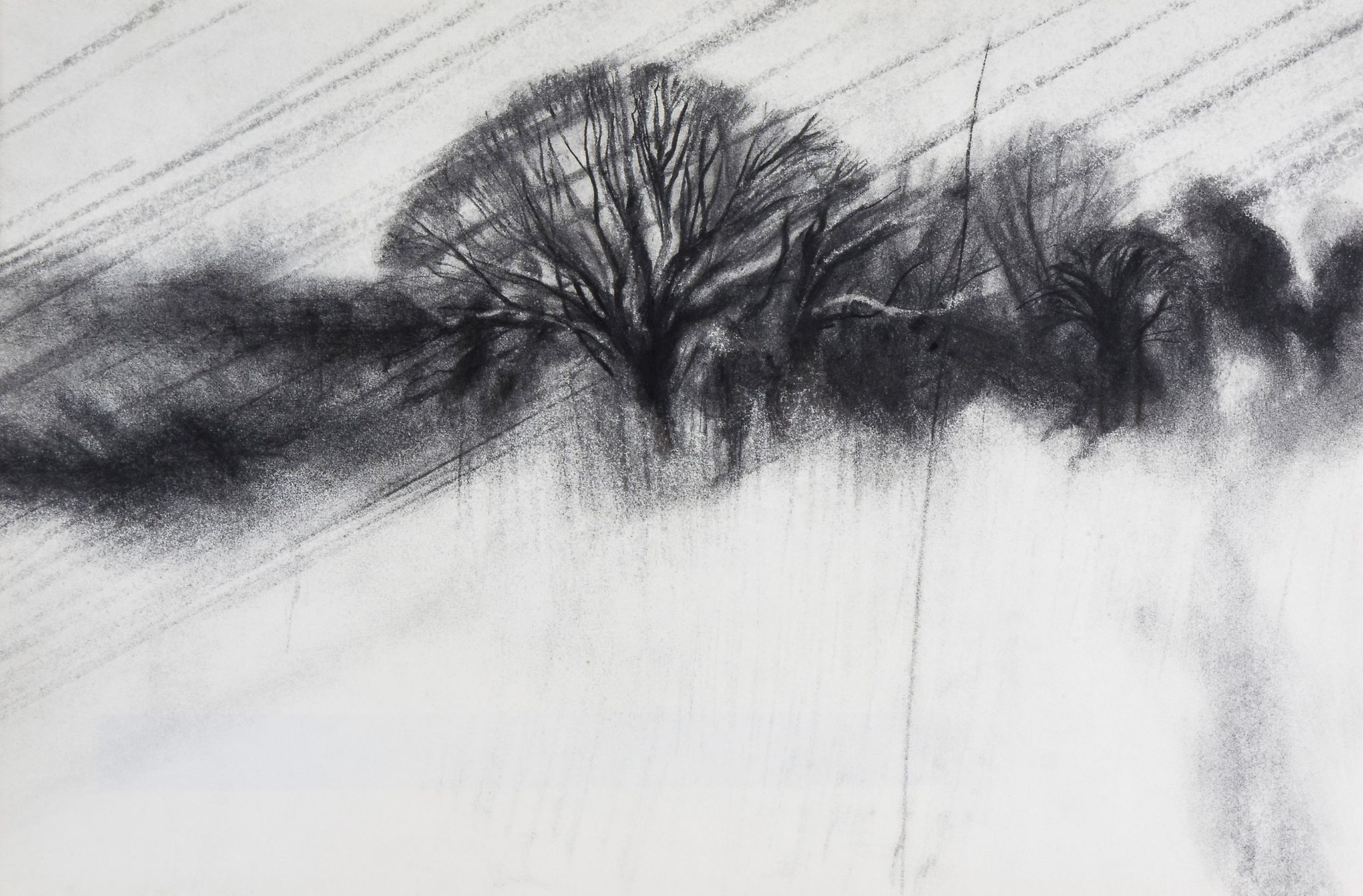 Colin Self (b.1941) - Landscape in Rain, 1971 charcoal on paper, inscribed 'Colin Self 1971