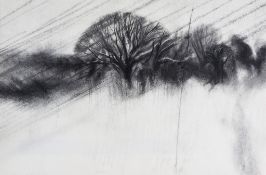 Colin Self (b.1941) - Landscape in Rain, 1971 charcoal on paper, inscribed 'Colin Self 1971