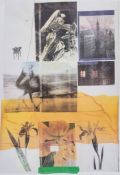 Robert Rauschenberg (1925-2008) - Untitled screenprint and photo-lithograph in colours, 1989, signed