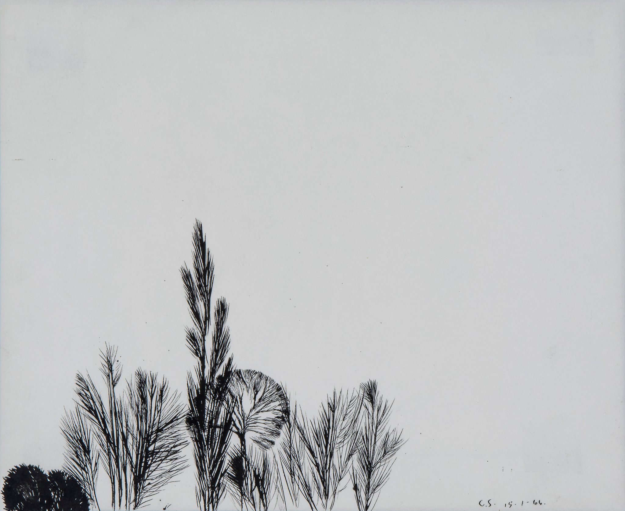 Colin Self (b.1941) - Study for Trees in Winter, 1966 pen and ink on paper, initialled and dated