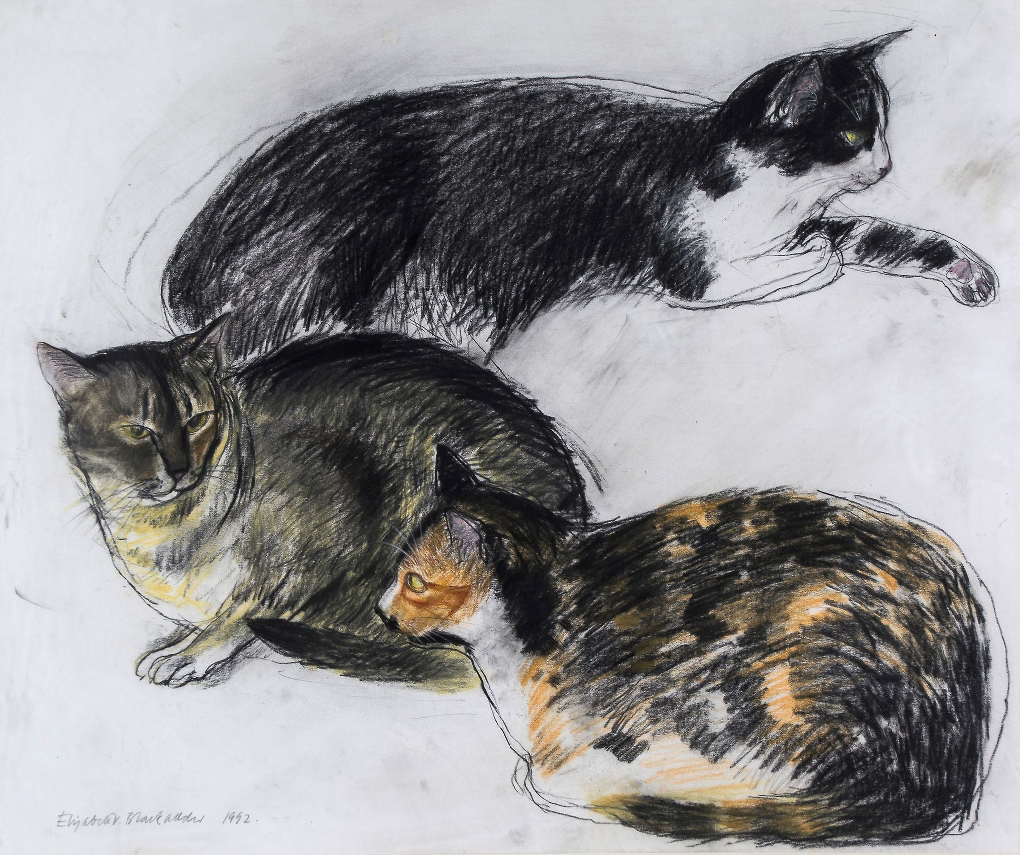 Elizabeth Violet Blackadder (b.1931) - Three Cats, 1992 pencil and pastel on paper, signed and dated