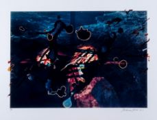 Rebecca Horn (b.1944) - Zenith of the Ocean II C-print in colours, 2001, signed and dated in black