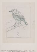 Peter Blake (b.1932) - Found Art - Tracing of Robin giclee print in colours, 2007, signed in pencil,