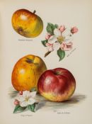 Wright (John) - The Fruit Grower's Guide, 3 vol. in 6,   3 additional pictorial titles and 43 plates