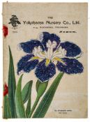 Yokohama Nursery Co., Ltd. - Descriptive Catalogue...for 1904,  illustrations including 11 full-page