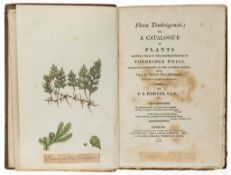 Forster (T.F.) - Flora Tonbrigensis;  first edition  ,   3 hand-coloured plates, each with caption