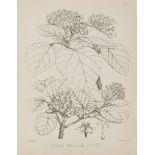Stewart (J.Lindsay) and Dietrich Brandis. - The Forest Flora of North-West and Central India... 2