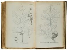 [Emerson (Geroge B.)] - A Report on the Trees and Shrubs growing naturally in the Forests of