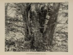 Kurata (Satoru) - Illustrated Important Forest Trees of Japan, 5 vol.,   second edition of vol.1,